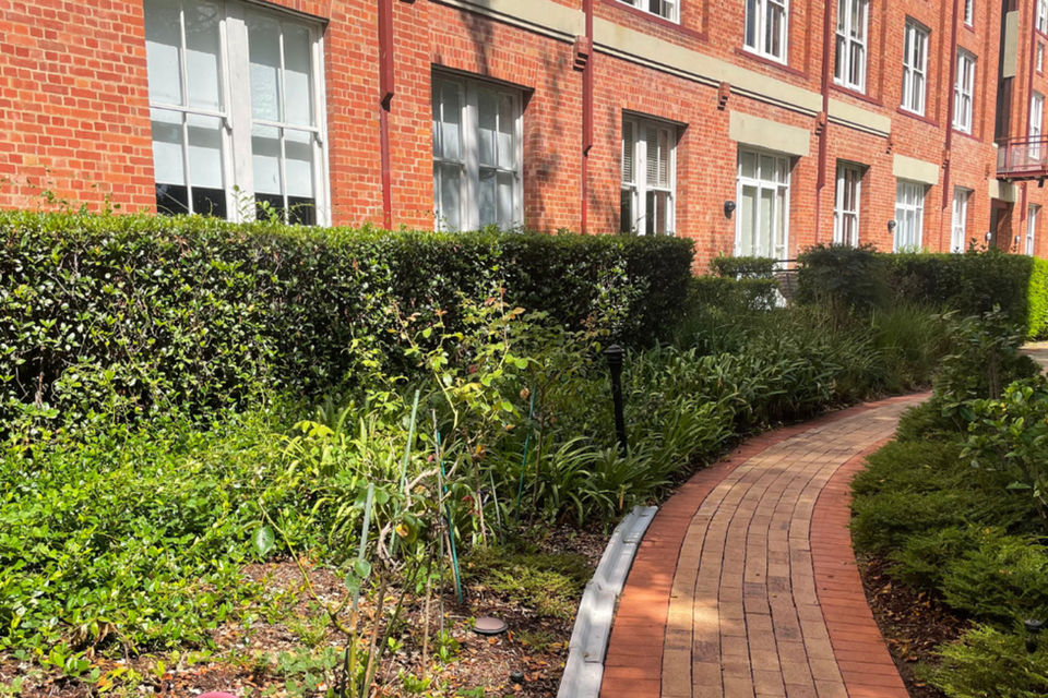 Body Corporate Complex Garden & Grounds Maintenance